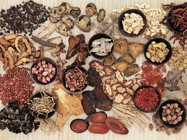 Identification of Chinese herbal medicine