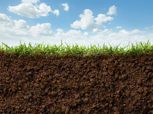 soil
